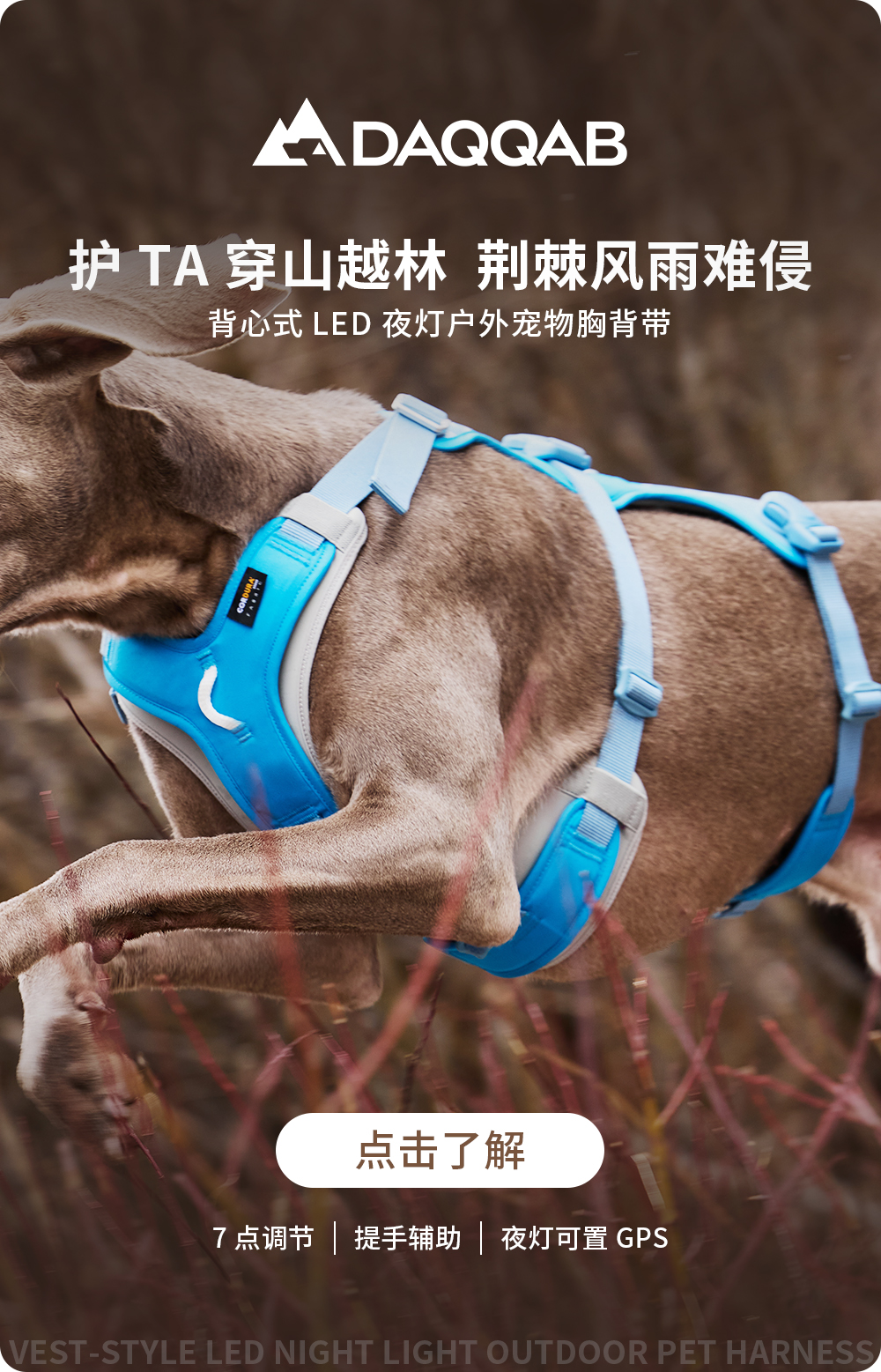 新品